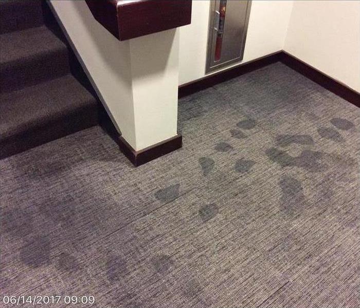 Water Damaged carpet