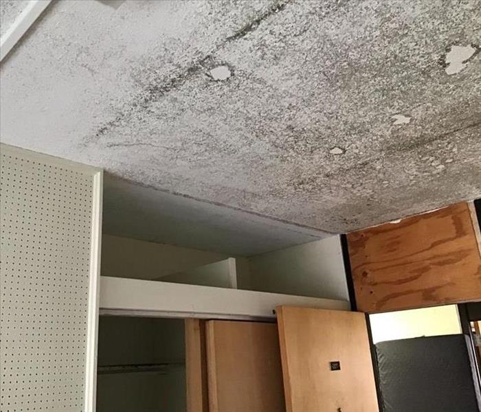 Mold on a ceiling